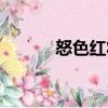 怒色紅妝（關于怒色紅妝介紹）
