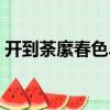 開到荼縻春色盡（關于開到荼縻春色盡介紹）