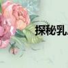 探秘乳房（關于探秘乳房簡介）