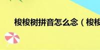 梭梭樹拼音怎么念(梭梭樹是什么樹)