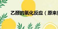 乙醛的氧化反應(原來奧秘在這里)
