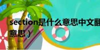 section是什么意思中文翻譯(section是啥意思)