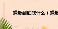 蠑螈到底吃什么(蠑螈到底吃啥)