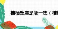 桔梗墜崖是哪一集(桔梗之死介紹)