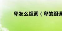 卑怎么組詞(卑的組詞有哪些呢)
