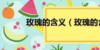 玫瑰的含義(玫瑰的含義介紹)