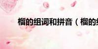 榴的組詞和拼音(榴的組詞有哪些)