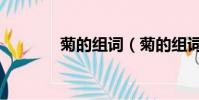 菊的組詞(菊的組詞有哪些)