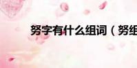 努字有什么組詞(努組詞有哪些)