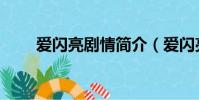 愛閃亮劇情簡介(愛閃亮劇情介紹)