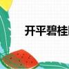 開平碧桂園（關于開平碧桂園介紹）