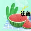 崔善美（關于崔善美簡介）