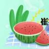崔宇（關于崔宇簡介）