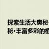 探索生活大奧秘·豐富多彩的植物家族（關于探索生活大奧秘·豐富多彩的植物家族簡介）