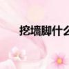 挖墻腳什么意思（原來是指這個意思）
