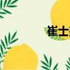 崔士鑫（關于崔士鑫簡介）