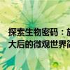 探索生物密碼：放大后的微觀世界（關于探索生物密碼：放大后的微觀世界簡介）