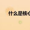 什么是核心價值觀（核心價值觀簡介）