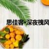 思佳客·深夜槐風析酲惺（關于思佳客·深夜槐風析酲惺介紹）