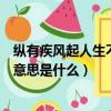 縱有疾風起人生不言棄是什么意思（縱有疾風起人生不言棄意思是什么）