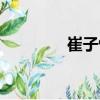 崔子恒（關于崔子恒簡介）