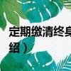 定期繳清終身保險（關于定期繳清終身保險介紹）