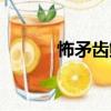 怖矛齒鲇（關于怖矛齒鲇介紹）