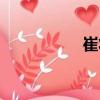崔壯（關于崔壯簡介）
