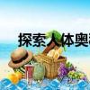 探索人體奧秘（關于探索人體奧秘簡介）