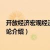 開放經濟宏觀經濟政策導論（關于開放經濟宏觀經濟政策導論介紹）