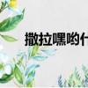 撒拉嘿喲什么意思（有人對你說過嗎）