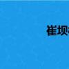 崔壩村（關于崔壩村簡介）