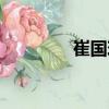 崔國玲（關于崔國玲簡介）