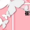 崔垛（關于崔垛簡介）