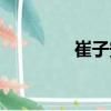 崔子安（關于崔子安簡介）