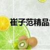 崔子范精品集（關于崔子范精品集簡介）