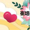 崔培德（關于崔培德簡介）