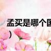 孟買是哪個國家的首都（關于孟買的詳細介紹）