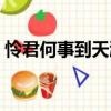 憐君何事到天涯（關于憐君何事到天涯介紹）