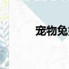 寵物兔好養嗎（兔子分為幾類）