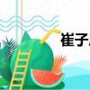 崔子恩（關于崔子恩簡介）