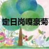 定日崗嘎豪菊石（關于定日崗嘎豪菊石介紹）