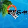 思凱樂·林納（關于思凱樂·林納介紹）