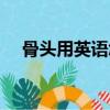 骨頭用英語怎么說（怎么說骨頭用英語）