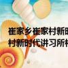 崔家鄉崔家村新時代講習所村志愿服務隊（關于崔家鄉崔家村新時代講習所村志愿服務隊簡介）
