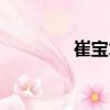 崔寶才（關于崔寶才簡介）