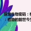 探索生物密碼：植物的前世今生與未來（關于探索生物密碼：植物的前世今生與未來簡介）