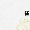 崔安（關于崔安簡介）