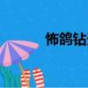 怖鴿鉆天（關于怖鴿鉆天介紹）