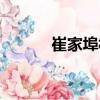 崔家埠村（關于崔家埠村簡介）